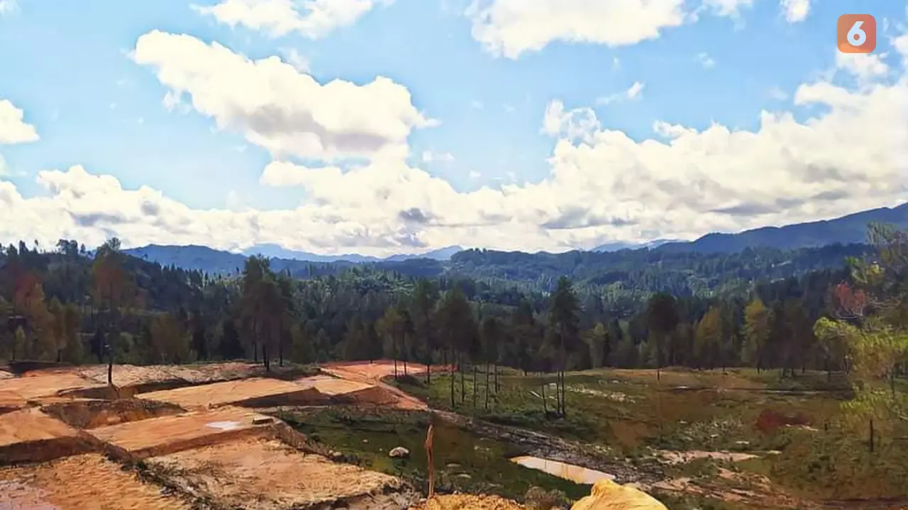 Kawasan Hutan Produktif Terbatas (HPT) Mapongka, Kecamatan Mangkendek, Kabupaten Tana Toraja, Sulawesi Selatan (Eka Hakim/Liputan6.com)