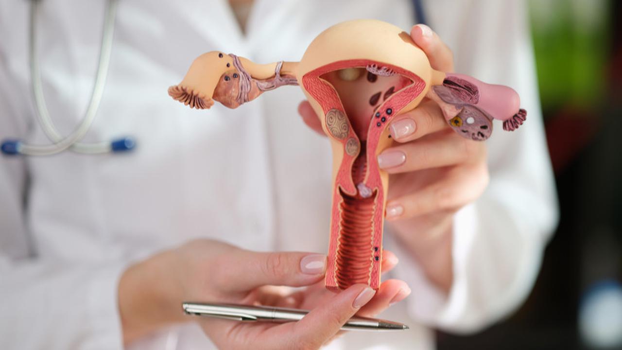 Sudahkah Mengenal Mioma Uteri atau Tumor Jinak di Rahim? Begini Cara Penanganannya!