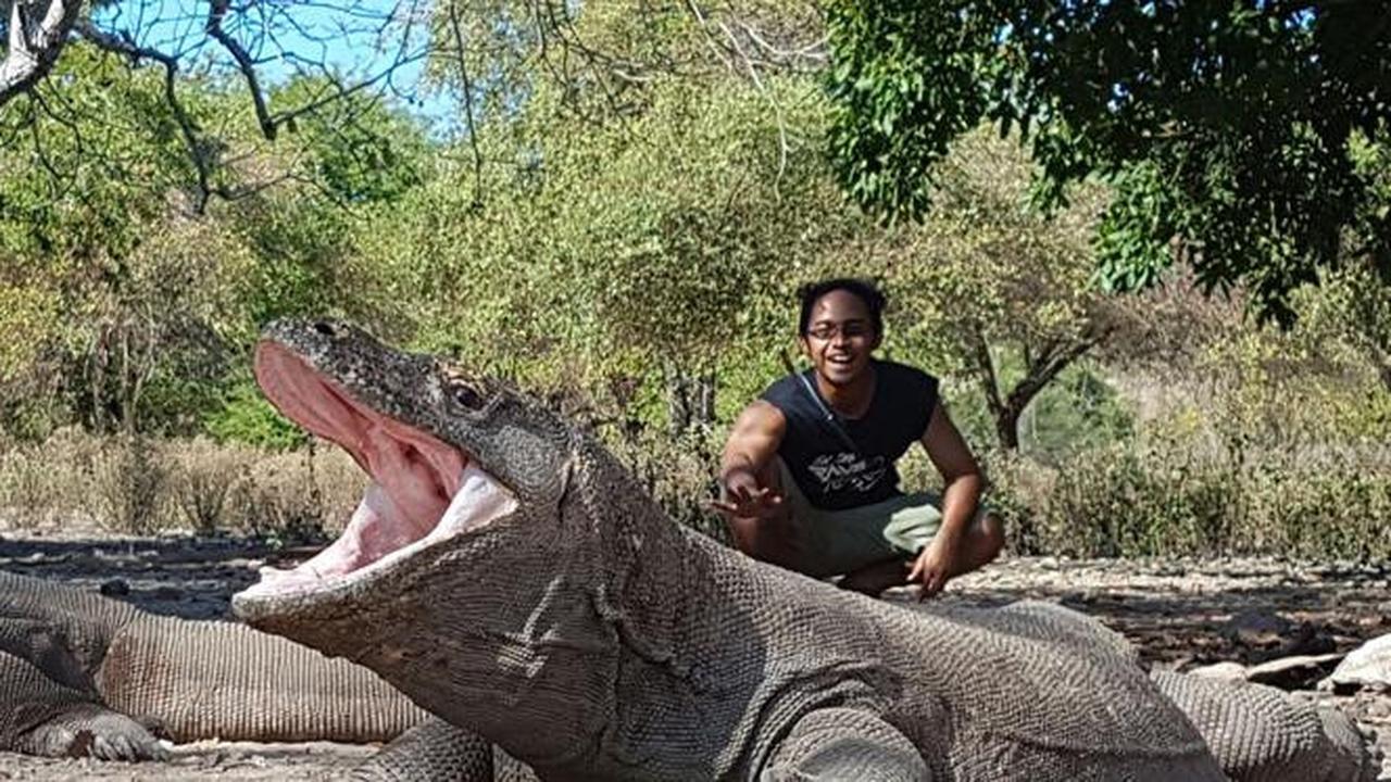 Selamatkan Naga Terakhir, Pulau Komodo Menjadi Target Selanjutnya