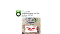 Hoaks Produk Makanan Mengandung Babi, Simak Daftarnya