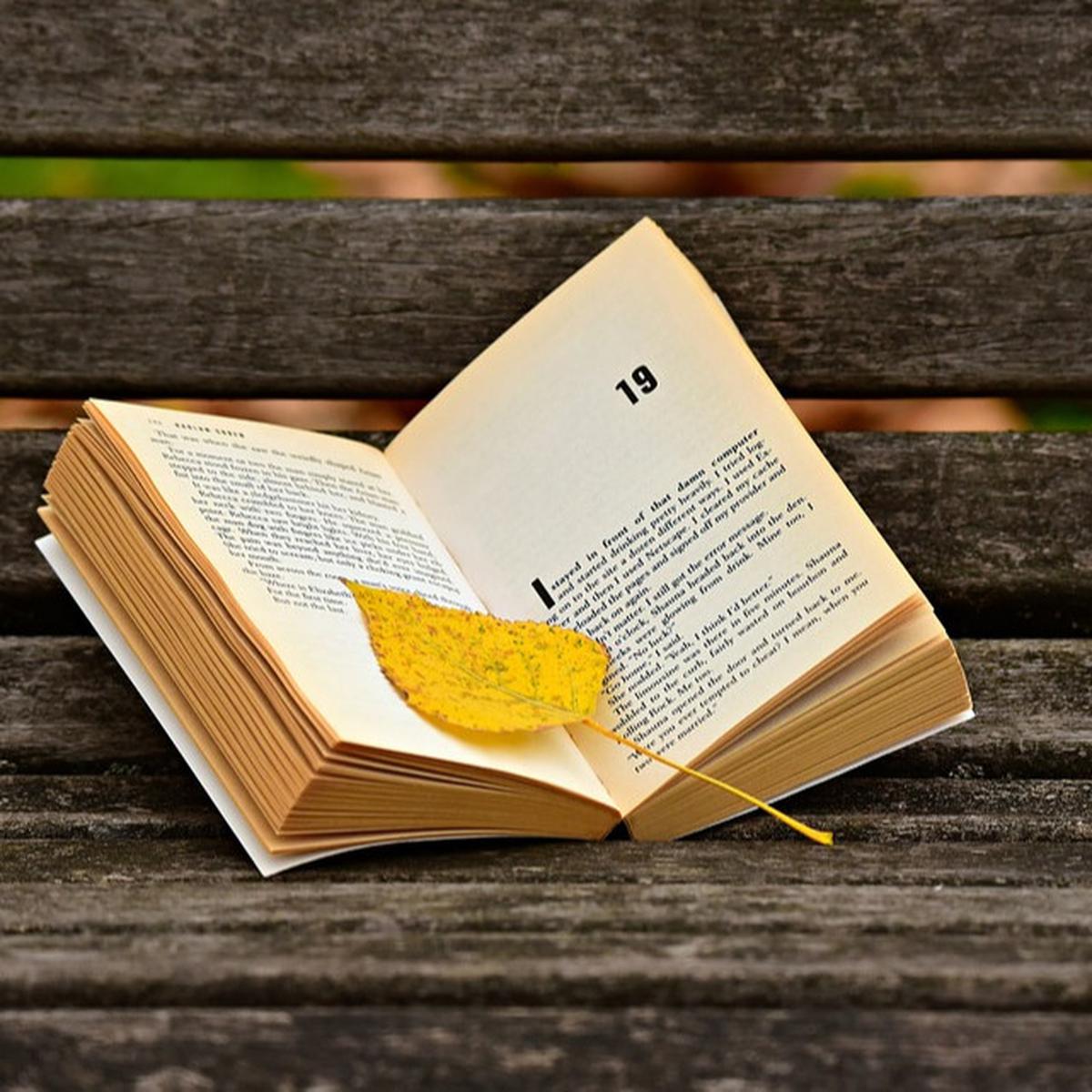 7 Buku Tentang Depresi Menarik dan Populer, Bisa Jadi Rekomendasi Bacaan