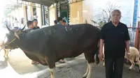 Menyembelih Hewan Kurban Merekatkan Warga Kami