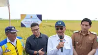 Panen Demplot di Indramayu, Menteri PU Dorong Penerapan IPHA untuk Swasembada Pangan