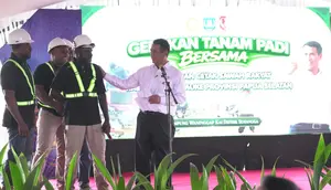 Cetak Sawah Papua Selatan, Mentan Siapkan Rp 1,3 Triliun