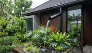 Cara Melindungi Taman Menjelang Musim Hujan agar Tanaman Tetap Sehat dan Tidak Mudah Busuk