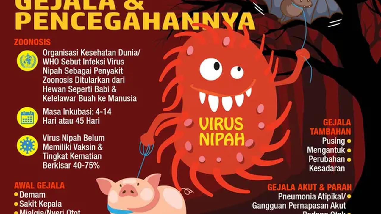 Infografis Virus Nipah, Gejala dan Pencegahannya. (Liputan6.com/Abdillah)
