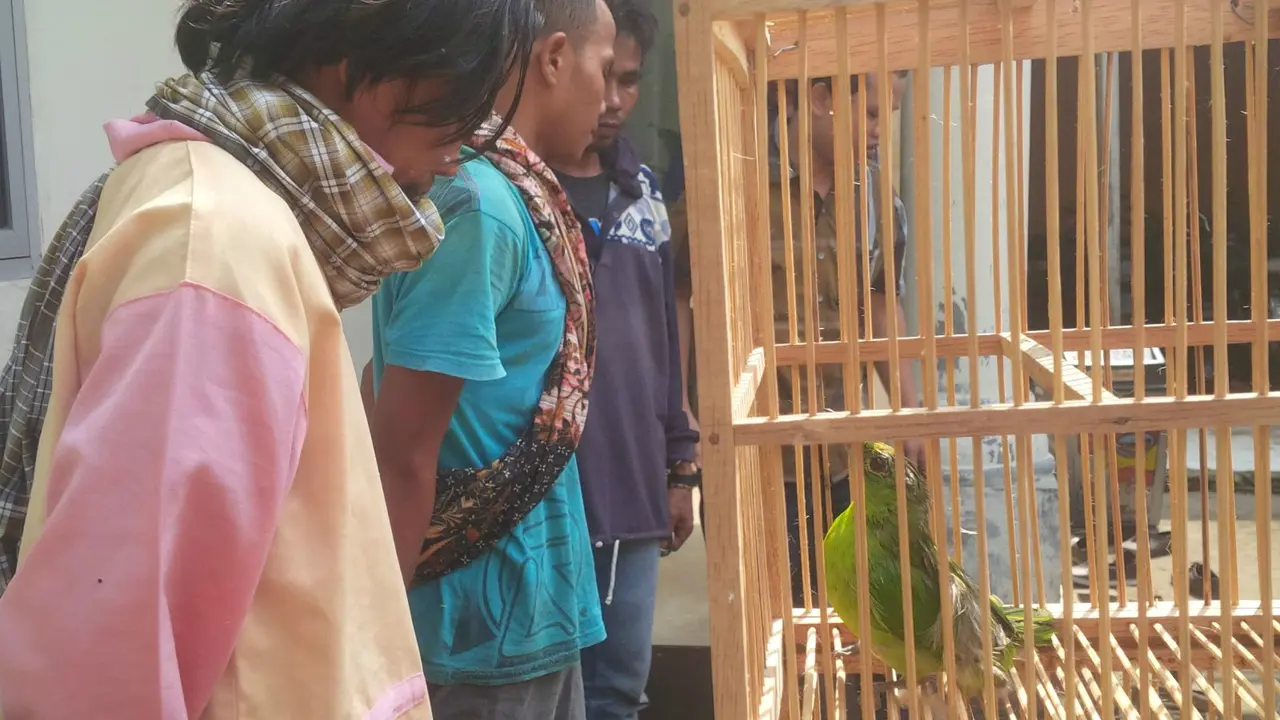 Polisi Bekuk Tiga Pemburu Burung Langka di Langkat 