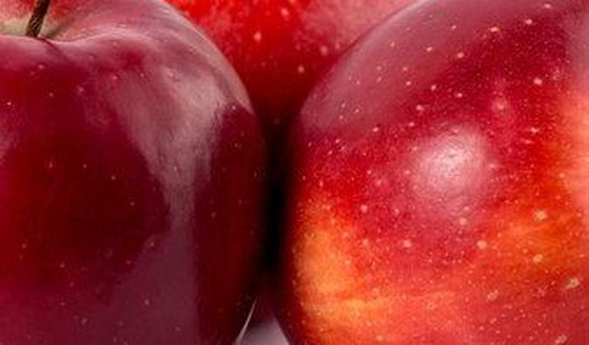 Apel