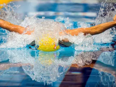 Perenang putri, Swedia, Sarah Sjoestroem, berlomba di nomor 100m gaya kupu-kupu Kejuaraan Renang Eropa Kolam Pendek di Netanya, Israel, (6/12/2015). (AFP/Jack Guez)