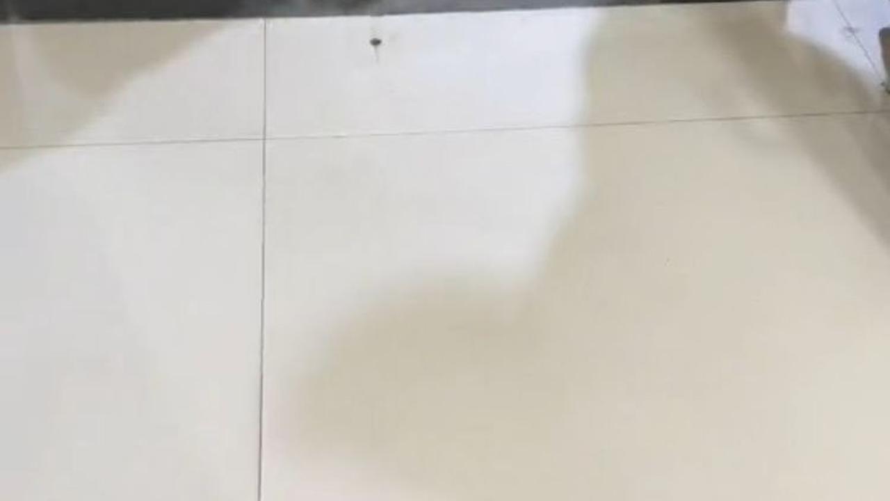 Sesampainya di stasiun, keluarga calon suaminya sudah menunggu mereka. Dari stasiun, mereka kembali menempuh perjalanan sekitar 20 menit sampai ke rumah si wanita.