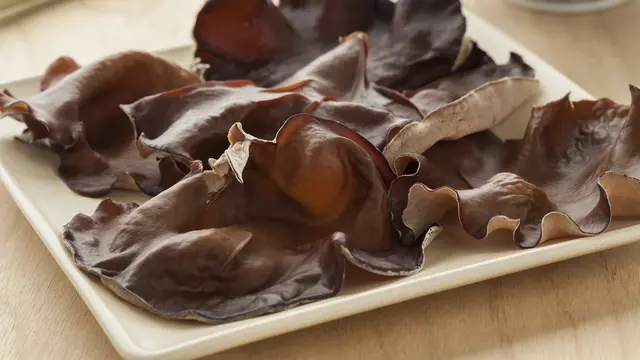 ilustrasi jamur kuping