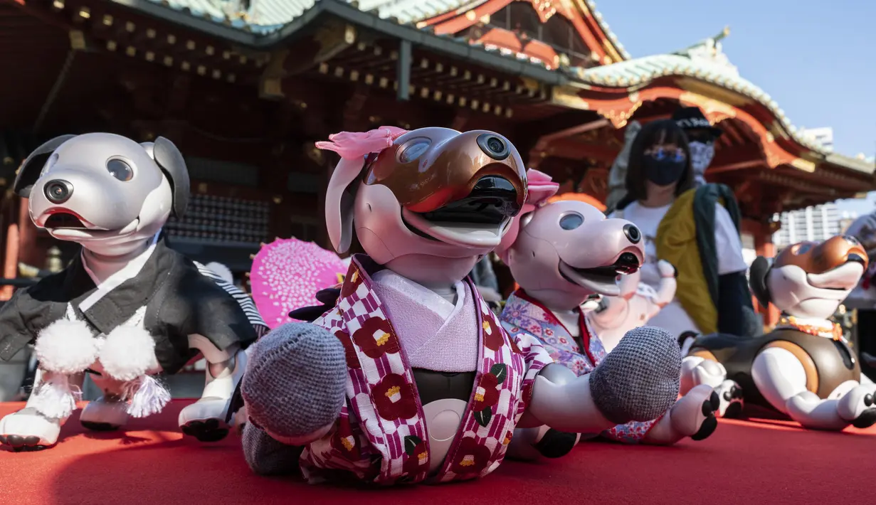Berbagai versi robot anjing "aibo" dalam pakaian tradisional dipajang saat upacara untuk menandai Festival Shichi-Go-San di Kuil Kanda Myojin, Tokyo, Jepang, Jumat (11/11/2022). Lebih dari 60 pemilik "aibo" menghadiri acara tradisional yang diadakan setiap tahun dengan mendoakan kesehatan yang baik di masa depan untuk anak perempuan berusia tiga dan tujuh tahun dan anak laki-laki berusia lima tahun. (Richard A. Brooks / AFP)