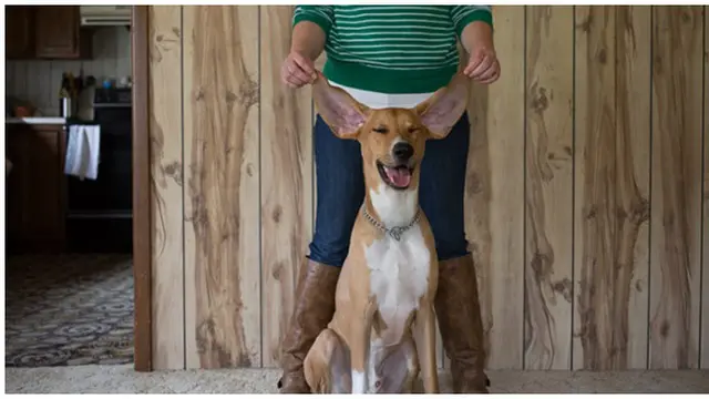 Foto : copyright huffingtonpost.com