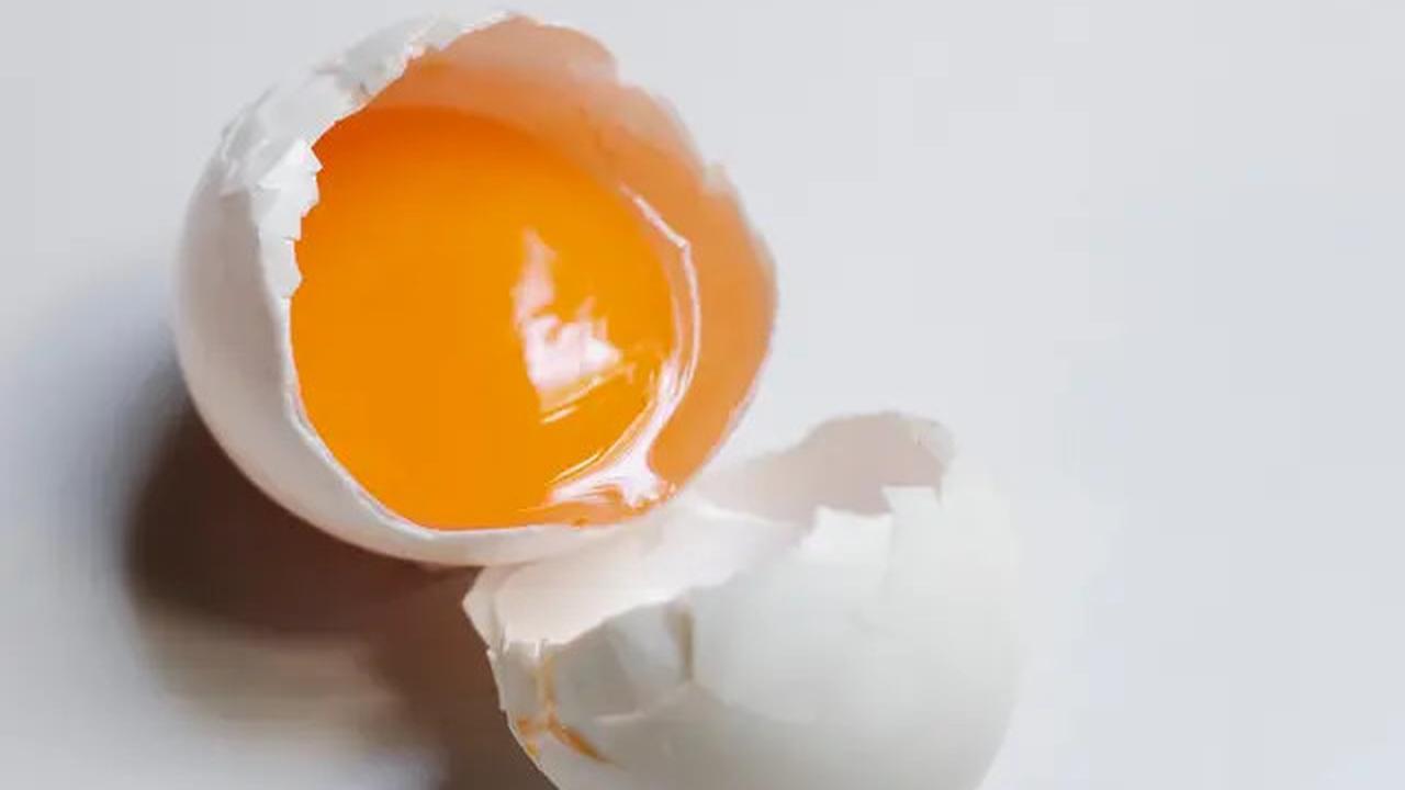 Beda Kandungan Gizi Telur Ceplok, Telur Rebus dan Dadar, Mana Olahan Paling Sehat?