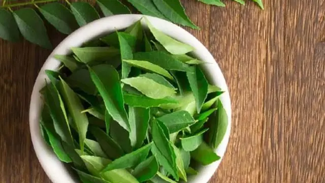 Daftar Rebusan Daun yang Ampuh Meredakan Asam Urat Tinggi