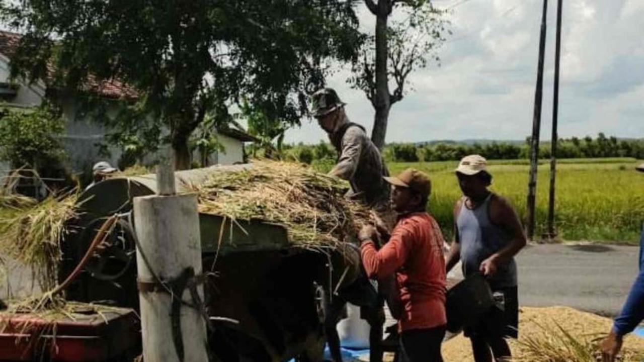 Bulog Kediri Serap Gabah Petani Sesuai HPP, Perkuat Cadangan Pangan Nasional