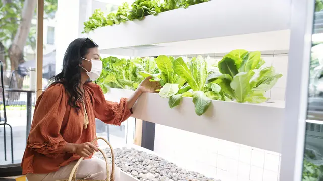 Kebun sayur di teras rumah kecil (Foto: freepik)
