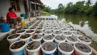 8 Ternak Hewan Mini di Ember untuk IRT yang Rumahnya Dekat Sungai