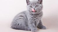 © shutterstock