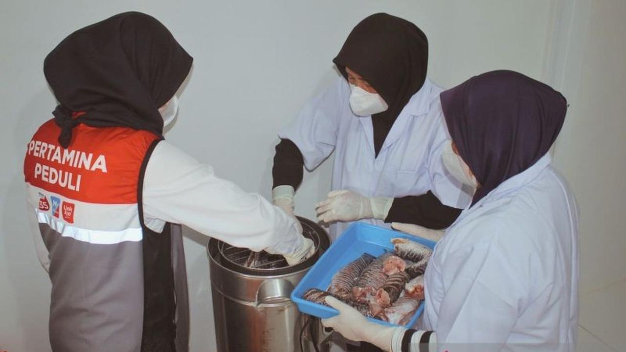UMKM Olahan Ikan Gabus Jambi Raih Omzet Rp87 Juta, Bukti Pemberdayaan Ekonomi Berkelanjutan