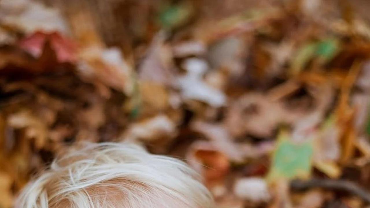 Kecerdasan naturalis adalah salah satu bentuk kecerdasan yang sering kali terabaikan dalam pembelajaran anak-anak.
