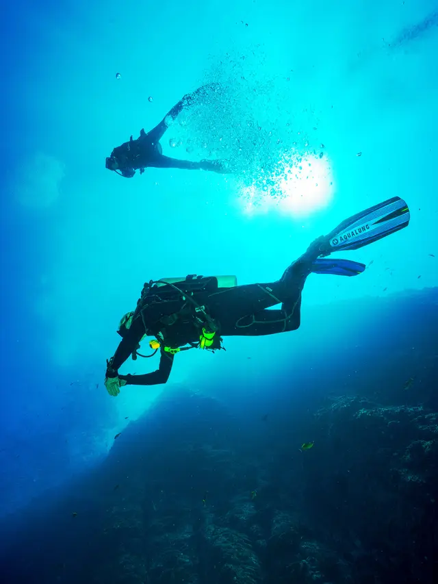 Ilustrasi diving