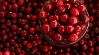 Ilustrasi Cranberry Credit: pexels.com/Mire