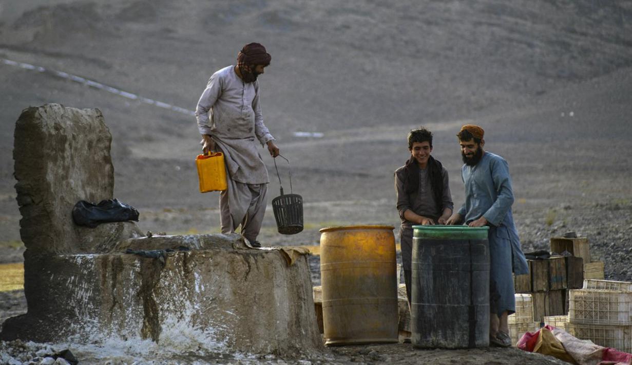 Petani bekerja di perkebunan anggur saat membuat kismis di Kandahar, Afghanistan, 6 September 2021. (JAVED TANVEER/AFP)