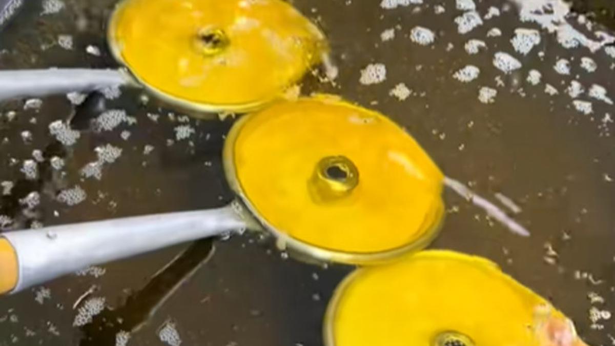 Resep Donat Goreng ala Pinkan Mambo dari Stefani Horison, Mudah Tanpa Mixer