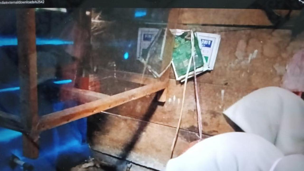Waspada! 42 Kasus DBD Pasaman Barat di Sungai Aur, Dinkes Tetapkan KLB dan Gencarkan PSN