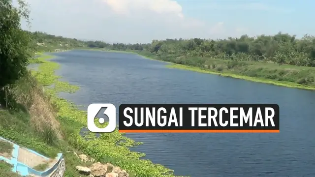 VERTICAL SUNGAI