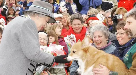 Menilik Nasib Anjing Corgi Ratu Elizabeth II Setelah Meninggal Dunia