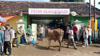 Pasar hewan Tuban. (Adirin/Liputan6.com)