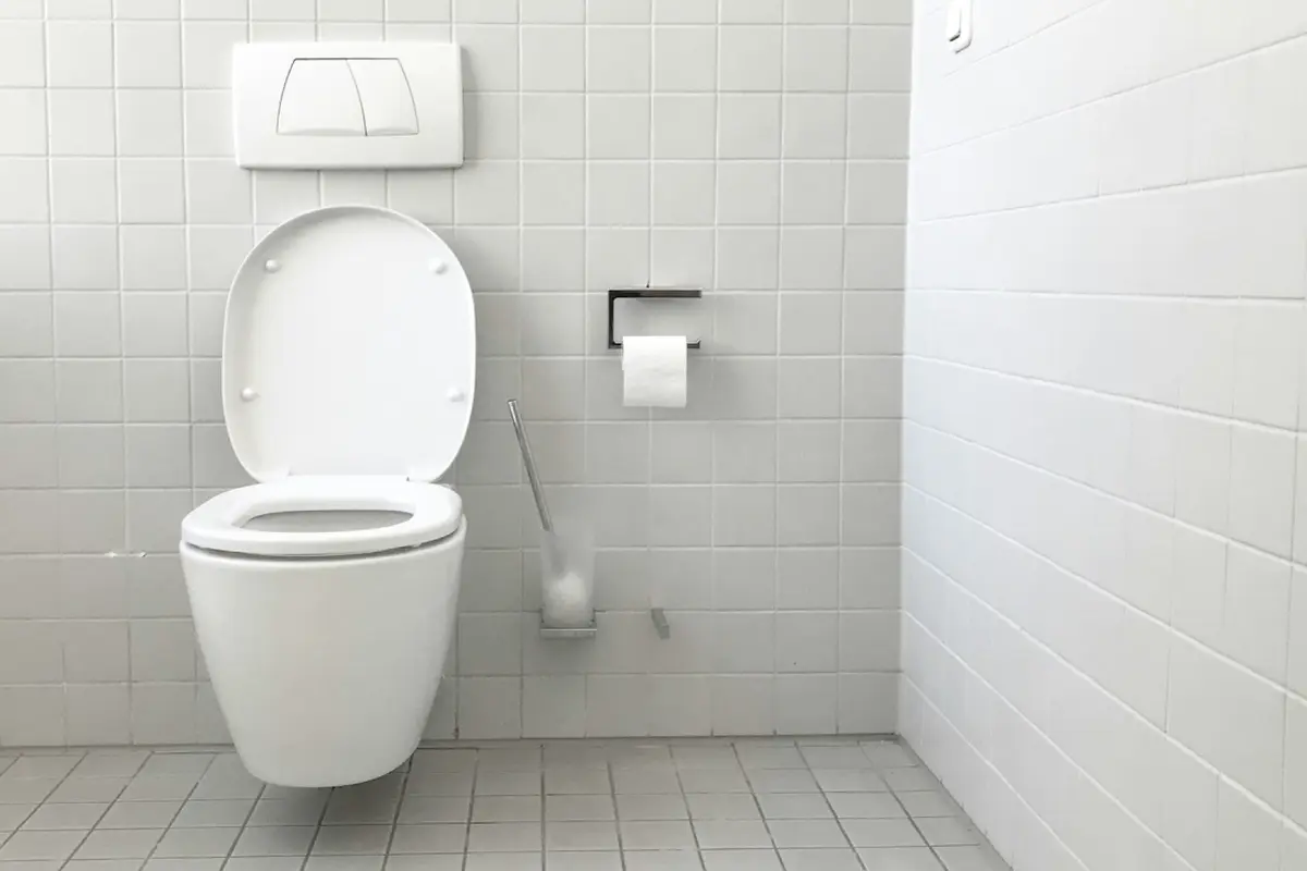 Ilustrasi toilet bersih