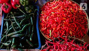 Aneka jenis cabai dijual di Pasar Kebayoran, Jakarta, Selasa (7/3/2023). Harga cabai rawit merah di DKI Jakarta terpantau naik sudah menembus Rp 100 ribu per kilogram. (Liputan6.com/Angga Yuniar)