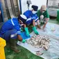 Susu Ikan Dibuat dari Ikan Petek Melalui Proses Hidrolisat yang Menghasilkan Cairan Protein Tinggi, Diolah Menjadi Produk Kaya Nutrisi (Foto: Ade Nasihudin Al Ansori/Liputan6.com)