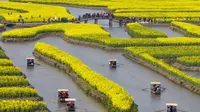 China Balas Kanada, Selidiki Impor Kanola