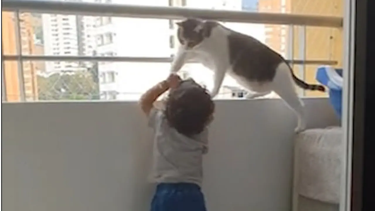 Viral Kucing Pintar Cegah Balita Memanjat Pagar Balkon Apartemen