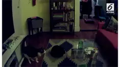 Seekor kucing tertangkap kamera sedang bermain dengan mahluk yang tak terlihat. Sang pemilik merekamnya dalam sebuah video.
