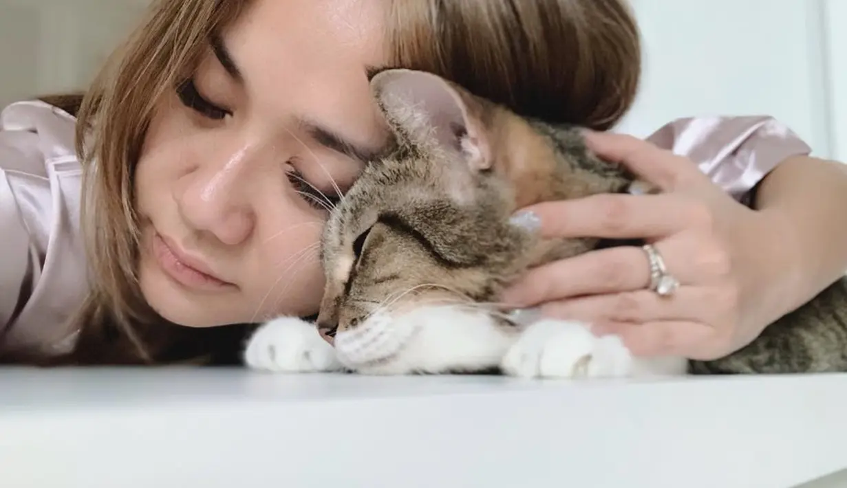 Bersama kucingnya, Bunga Citra Lestari tampak tidur sangat nyenyak. Penampilan BCL yang tampak natural ini sungguh bikin jatuh hati. Pantas saja ibu dari Noah Sinclair ini miliki banyak penggemar. (Liputan6.com/IG/@bclsinclair)