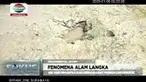 Air asin yang muncul di persawahan Dusun Brayukulon, Desa Brayublandong, Kecamatan Dawarblandong, Kabupaten Mojokerto ada di 10 titik. Fenomena alam ini tergolong aneh karena sulit ditemukan sumber air di wilayah ini.