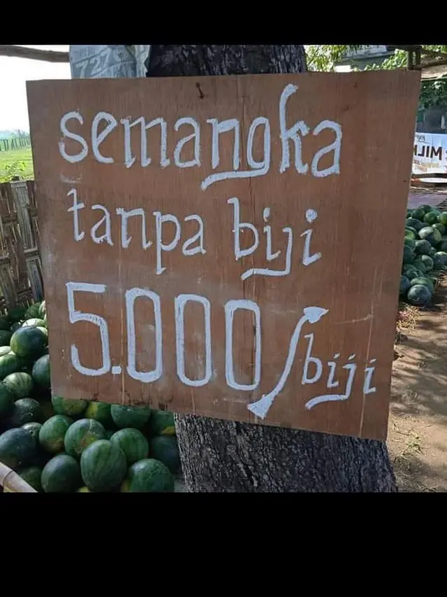 6 Cara Promosi Penjual Semangka Ini Nyeleneh, Bikin Pembeli Melongo