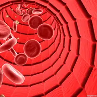 Peredaran darah lancar (Via: infraredheatheals.com)