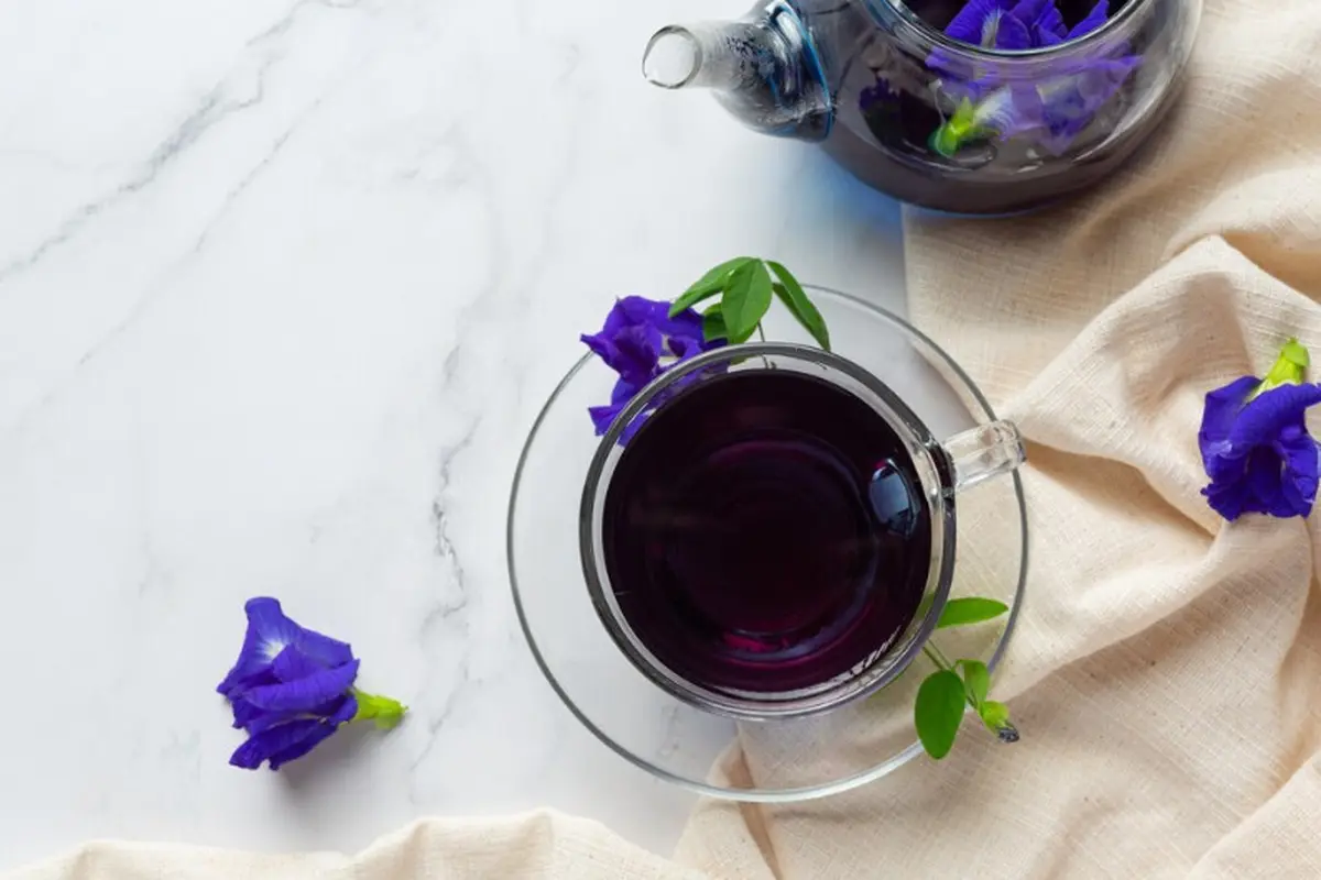 Butterfly Pea
