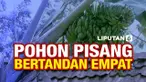 ilustrasi by: Wawan