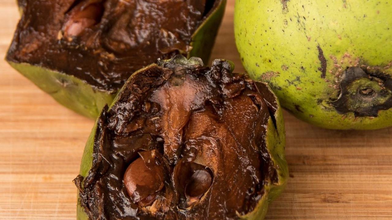 Kandungan Gizi Black Sapote