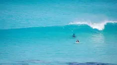 Seorang peselancar asal Australia menantang seekor hiu putih adu kecepatan di perairan Esperance, Perth