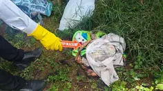 Hutan di Kupang NTT Diduga Jadi Tempat Buang Bayi
