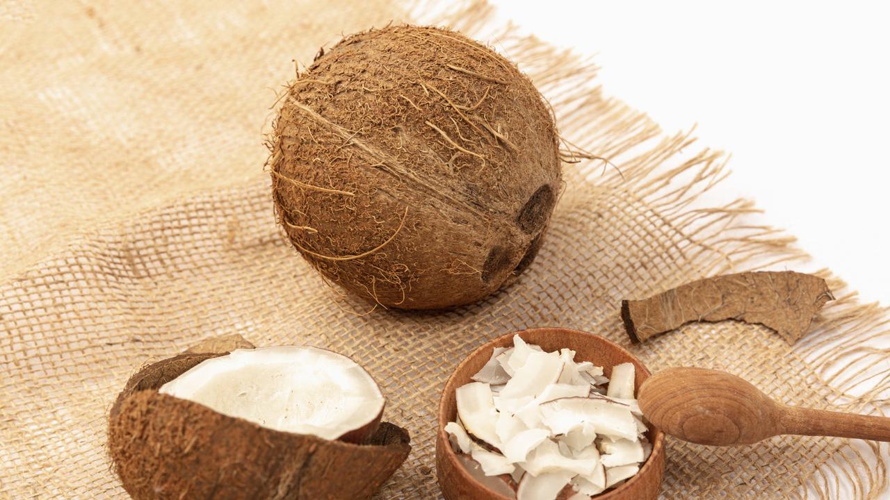 Ilustrasi Daging Kelapa