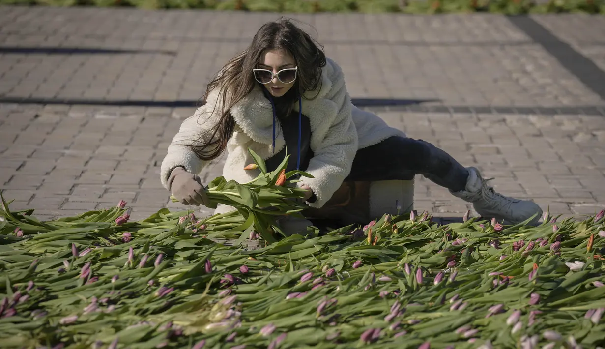 Seorang wanita menata bunga tulip di alun-alun Sophia di Kiev, Ukraina (18/3/2022). Warga Kiev turun ke alun-alun pusat untuk menata sekitar 1,5 juta bunga tulip bentuk lambang negara dalam pertunjukan normal yang menantang saat pasukan Rusia mengepung dan mengebom kota. (AP Photo/Vadim Ghirda)